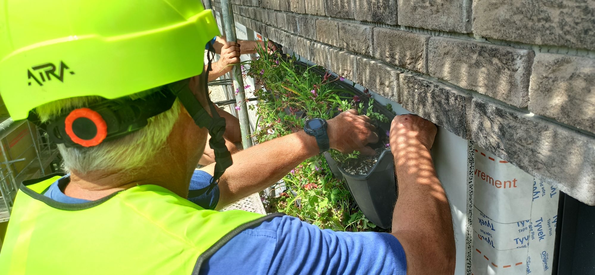 Zelená fasáda - Živá stěna Graseko_43